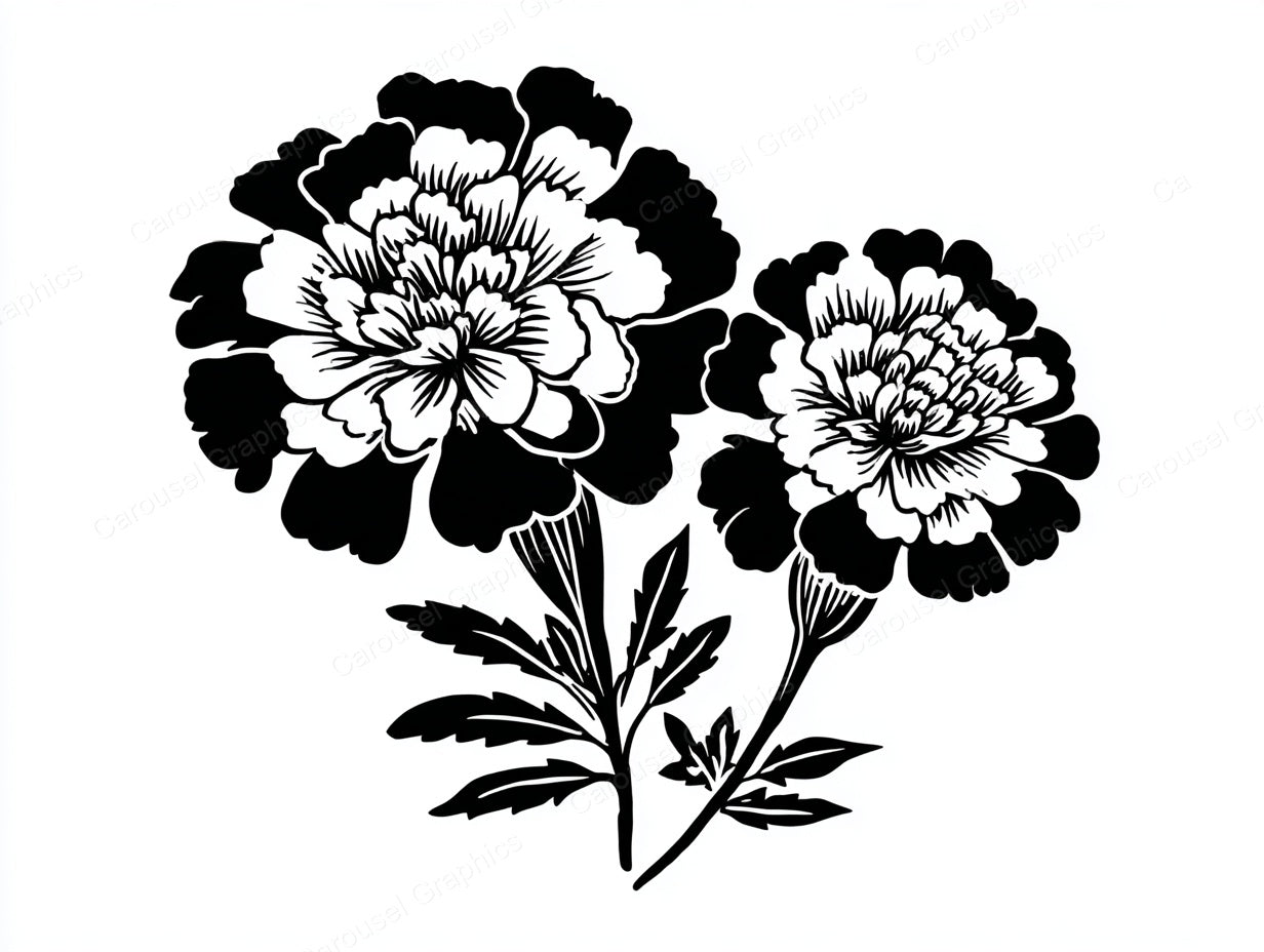 Marigold Vector Graphic preview