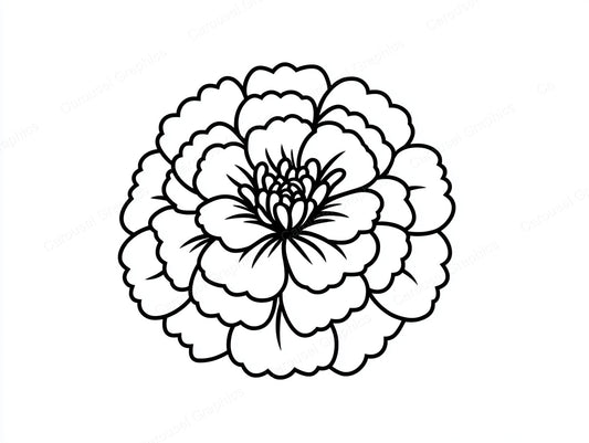 Marigold Vector Graphic preview