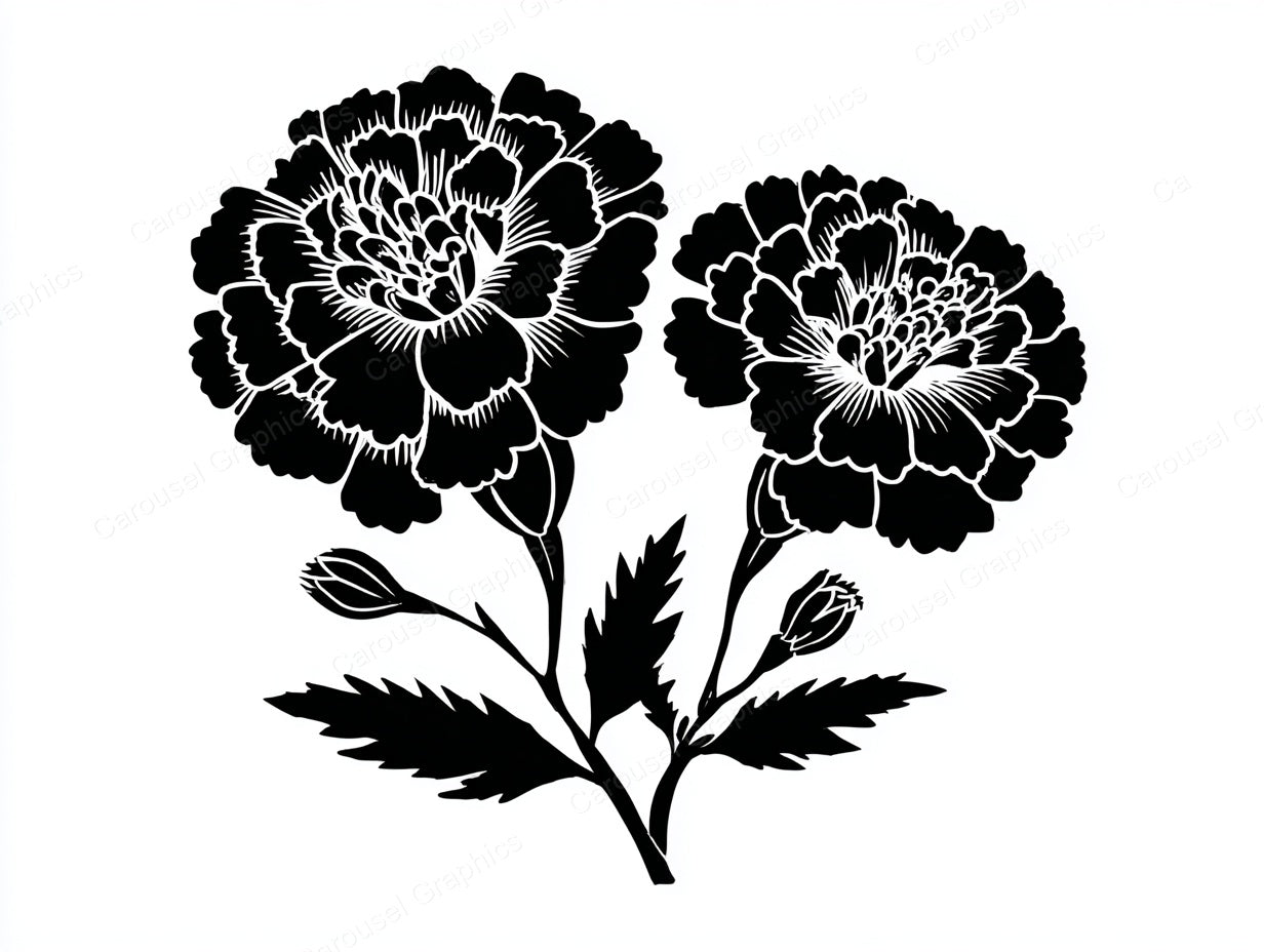 Marigold Vector Graphic preview