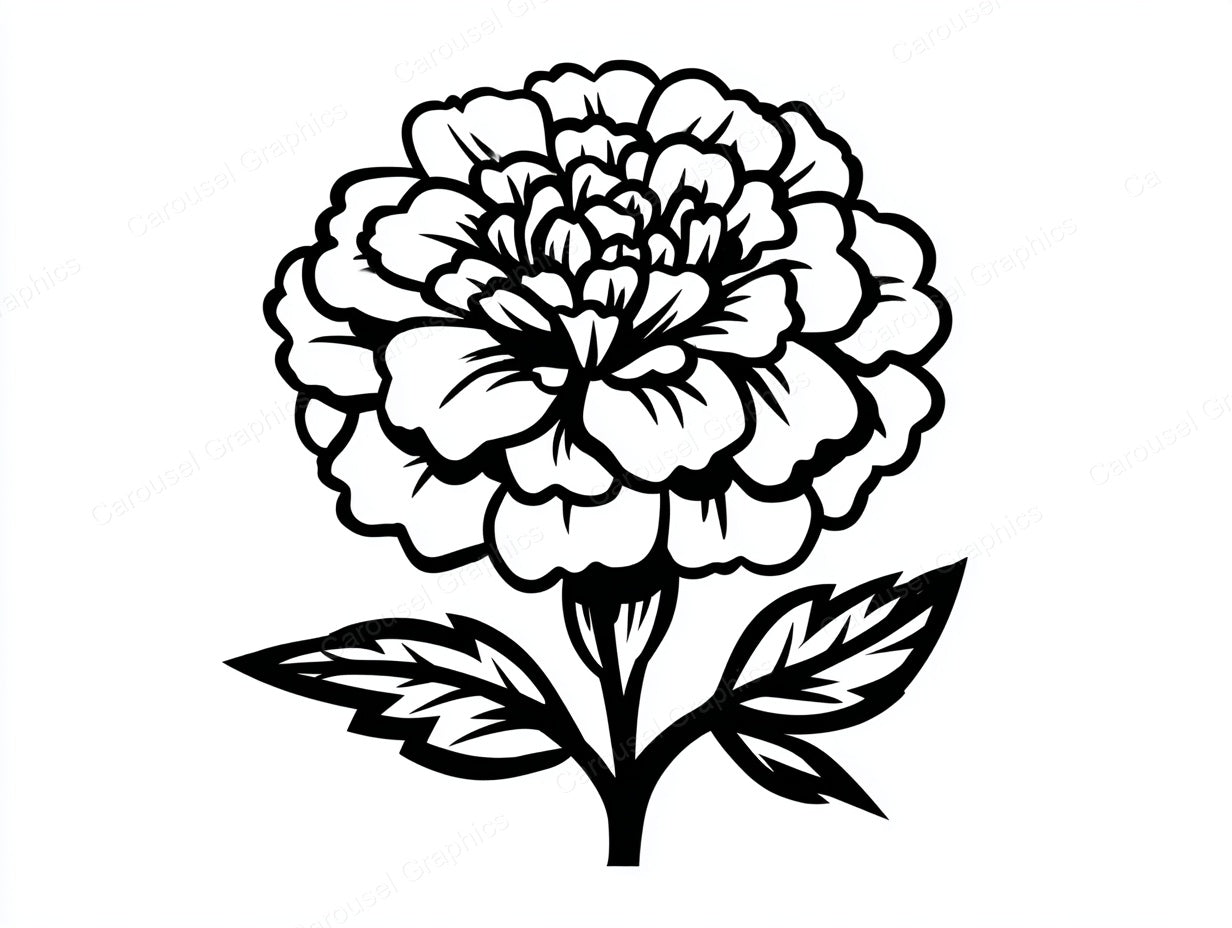 Marigold Vector Graphic preview