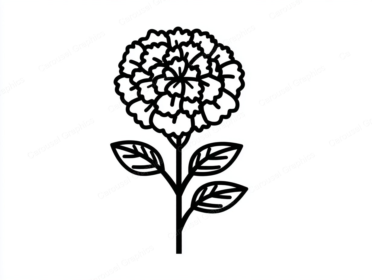 Marigold Vector Graphic preview