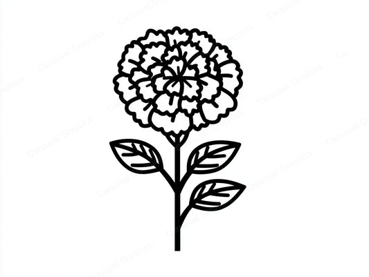 Marigold Vector Graphic preview
