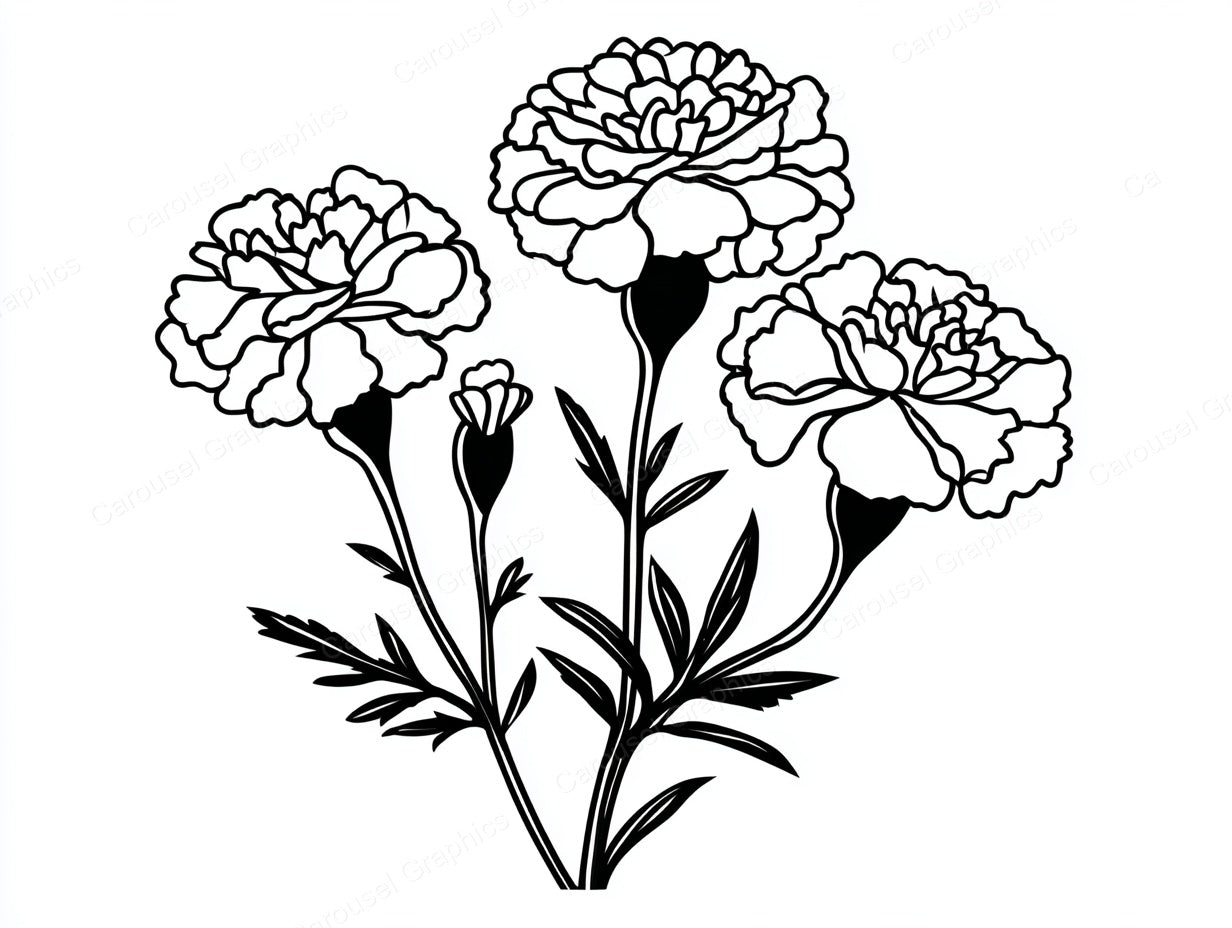 Marigold Vector Graphic preview