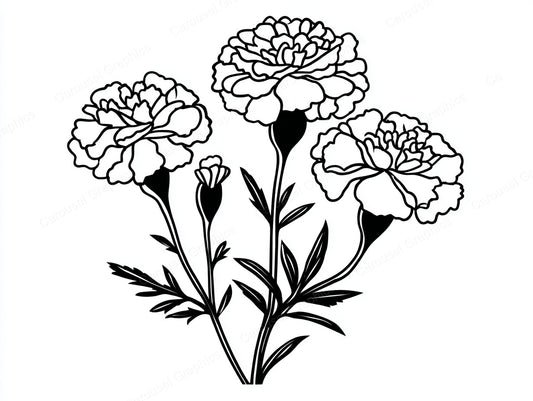 Marigold Vector Graphic preview