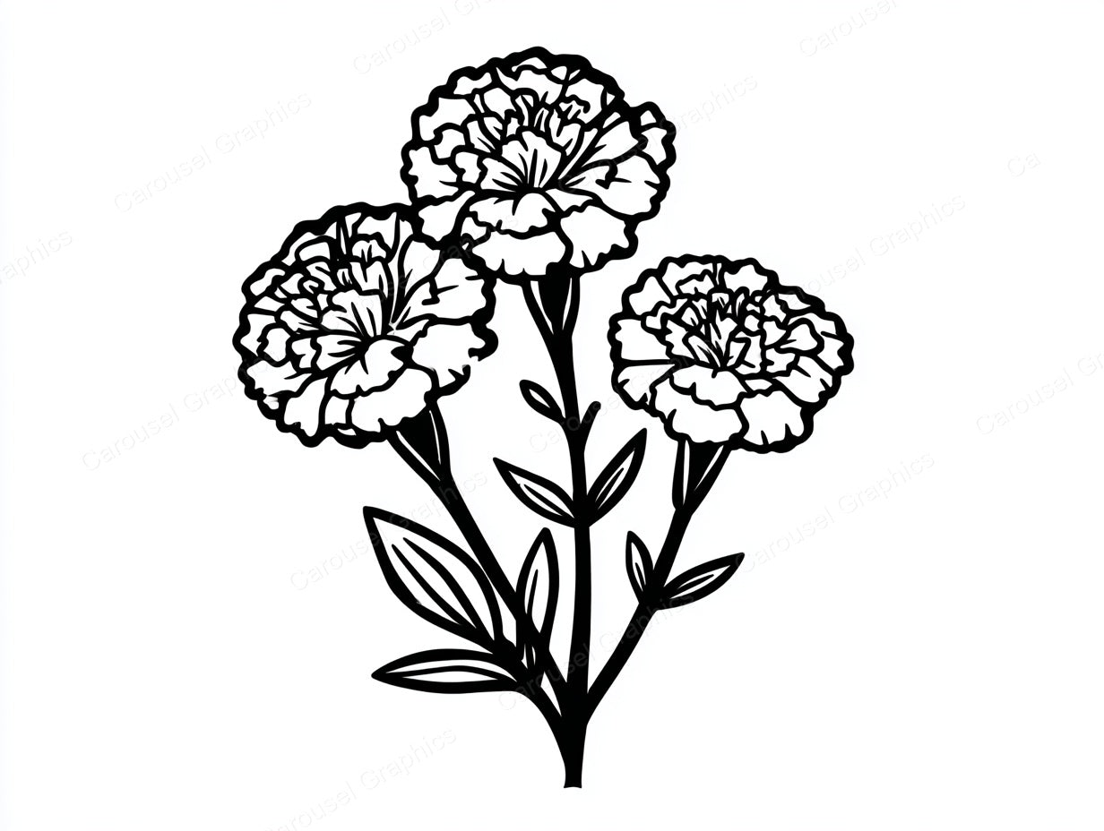 Marigold Vector Graphic preview