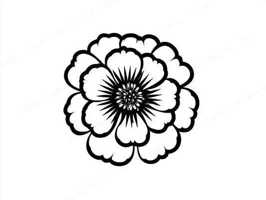 Marigold Vector Graphic preview