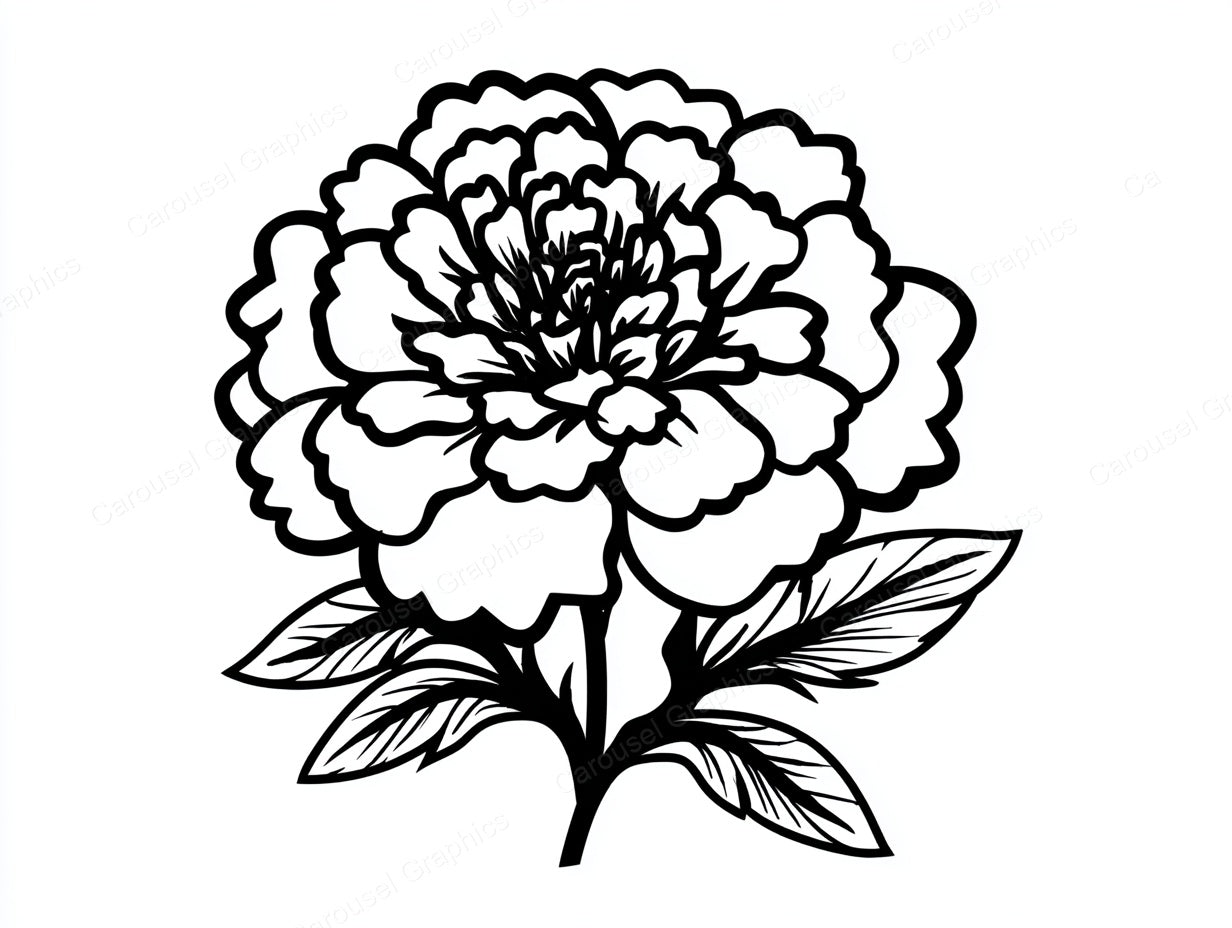 Marigold Vector Graphic preview