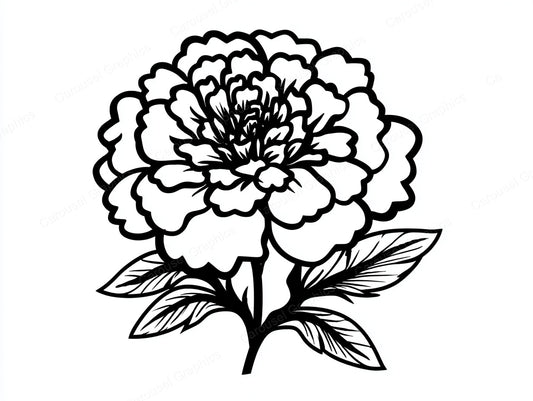 Marigold Vector Graphic preview