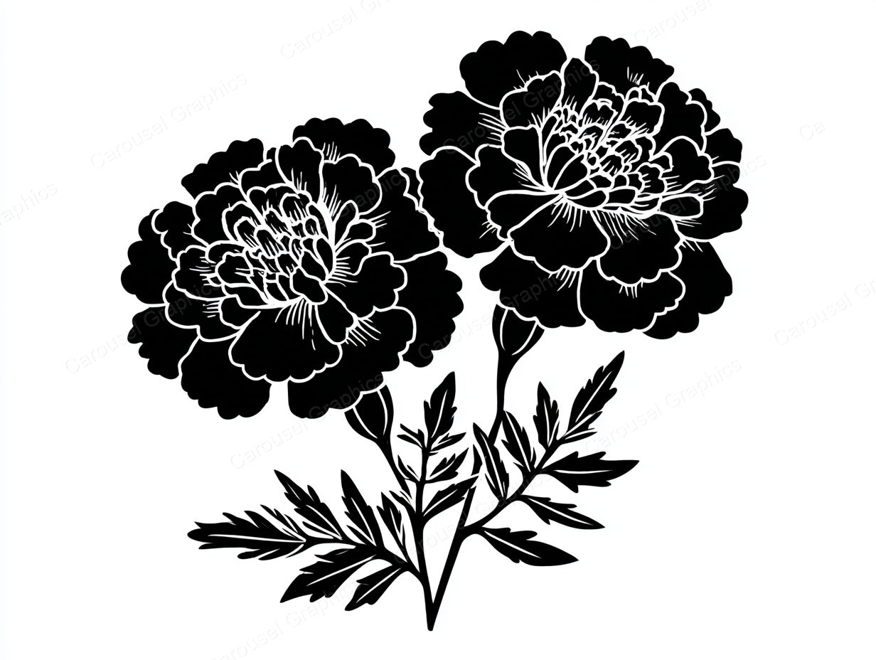 Marigold Vector Graphic preview