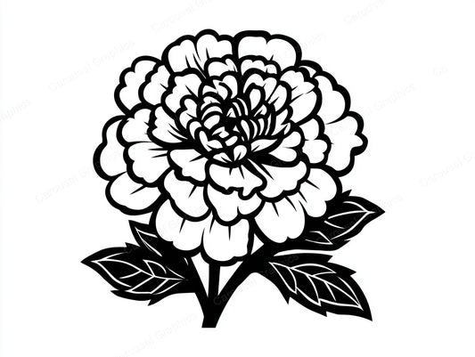 Marigold Vector Graphic preview
