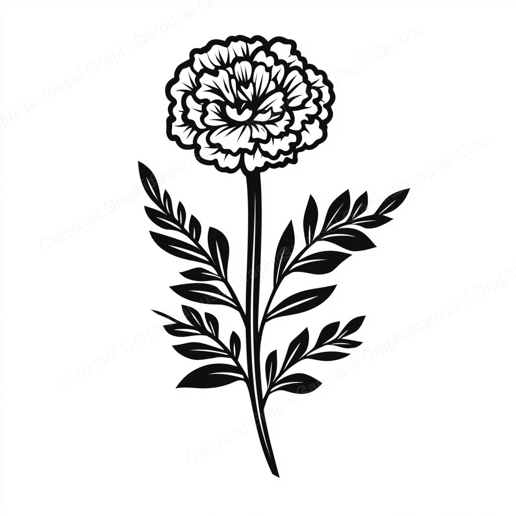 Marigold Vector Graphic preview