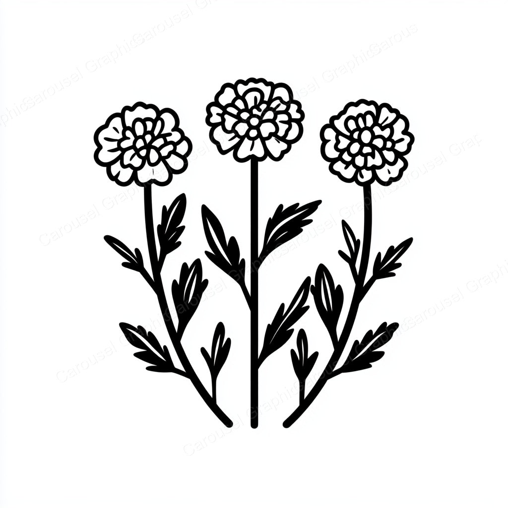 Marigold Vector Graphic preview