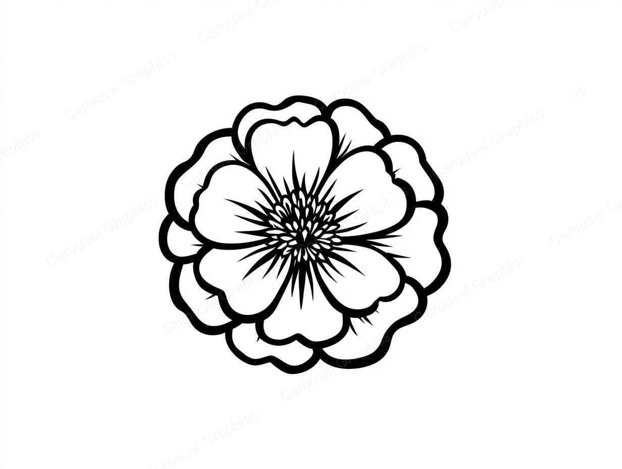 Marigold Vector Graphic preview