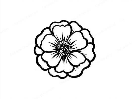 Marigold Vector Graphic preview