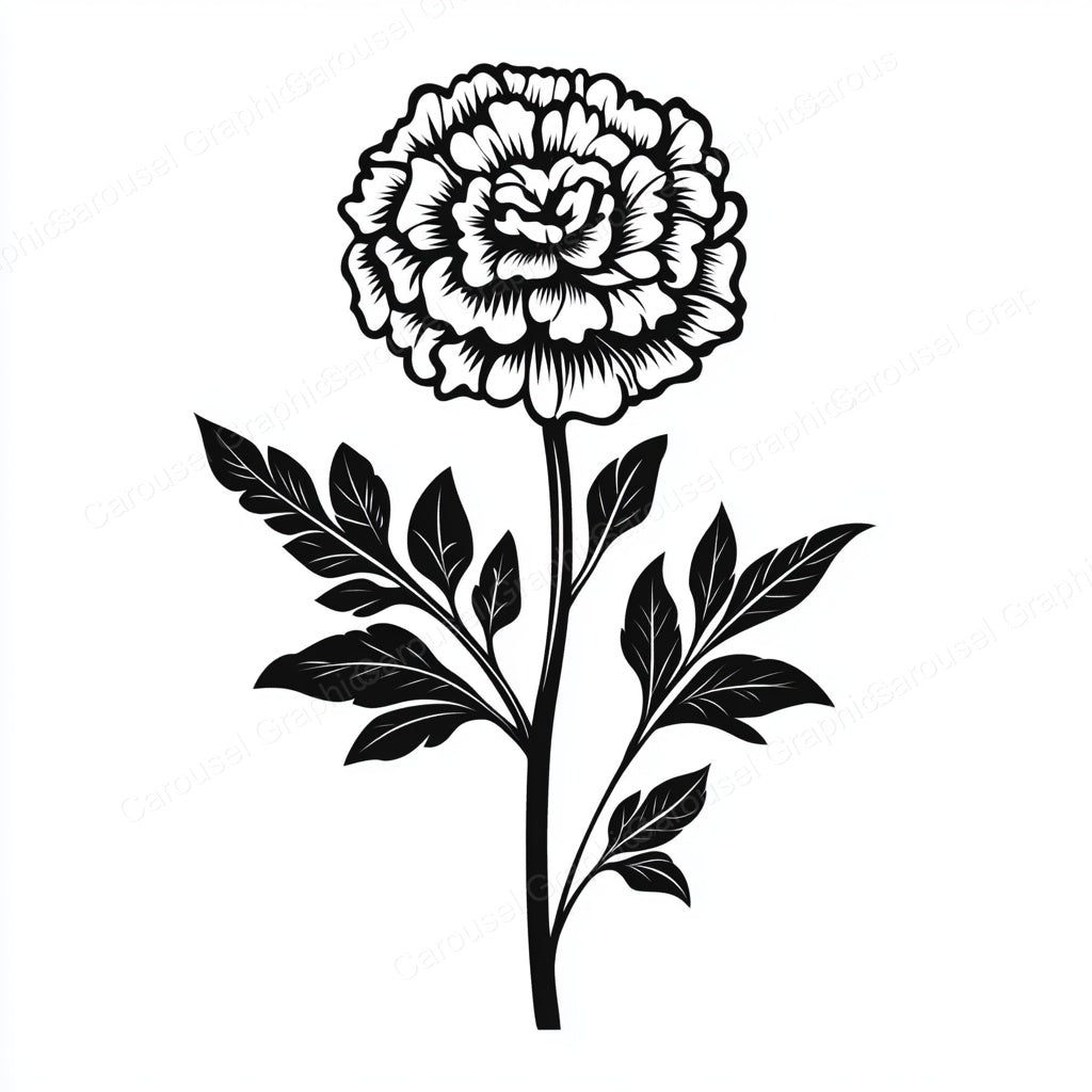 Marigold Vector Graphic preview