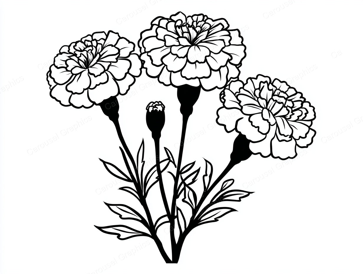 Marigold Vector Graphic preview
