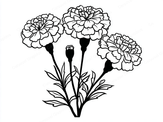 Marigold Vector Graphic preview