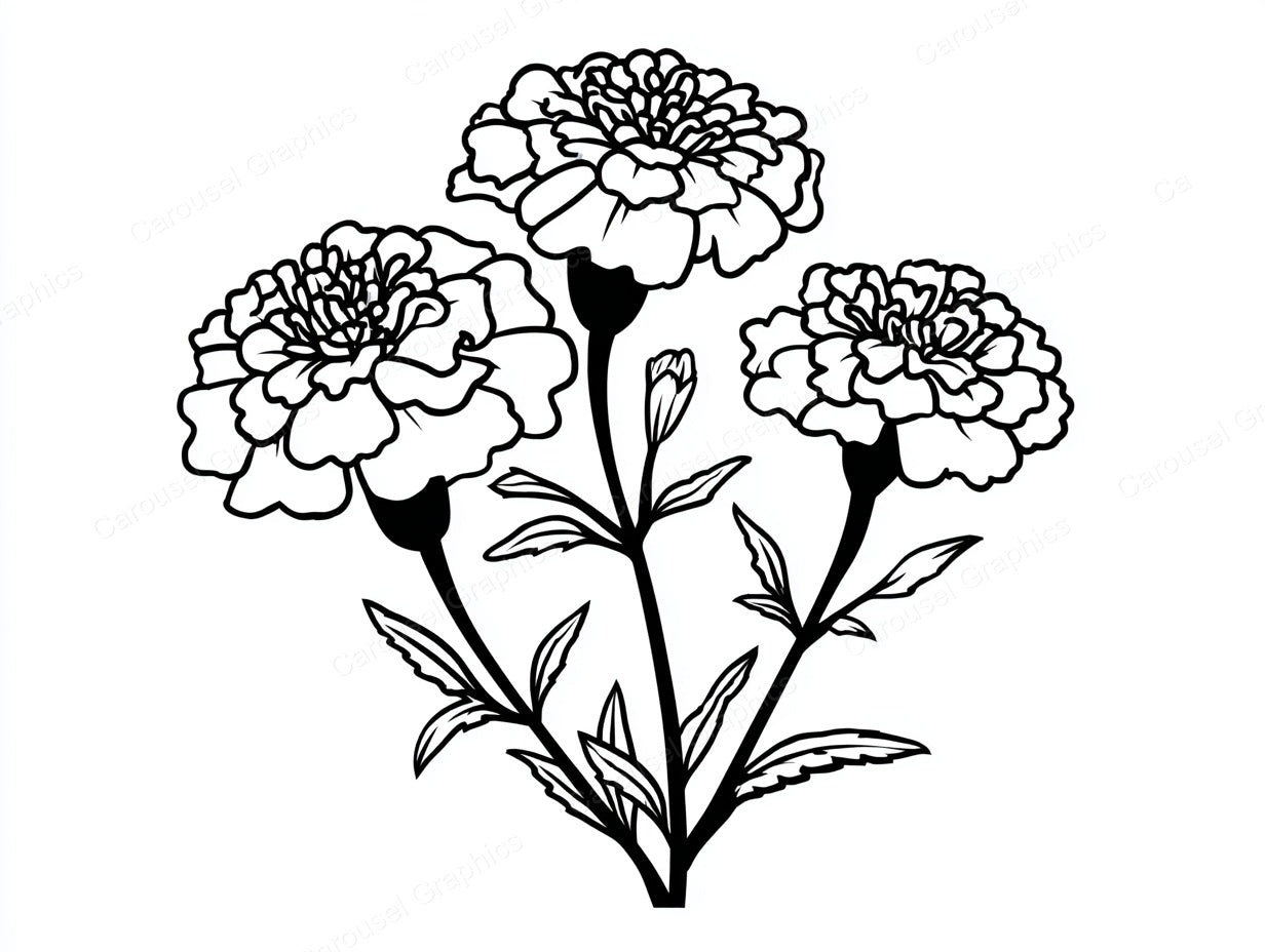 Marigold Vector Graphic preview
