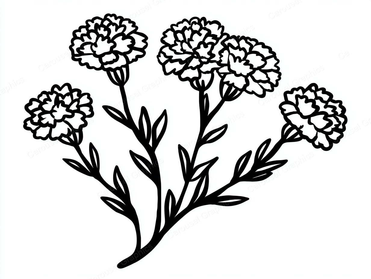 Marigold Vector Graphic preview