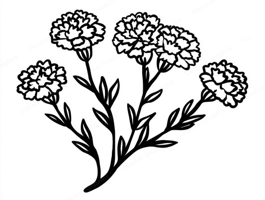 Marigold Vector Graphic preview