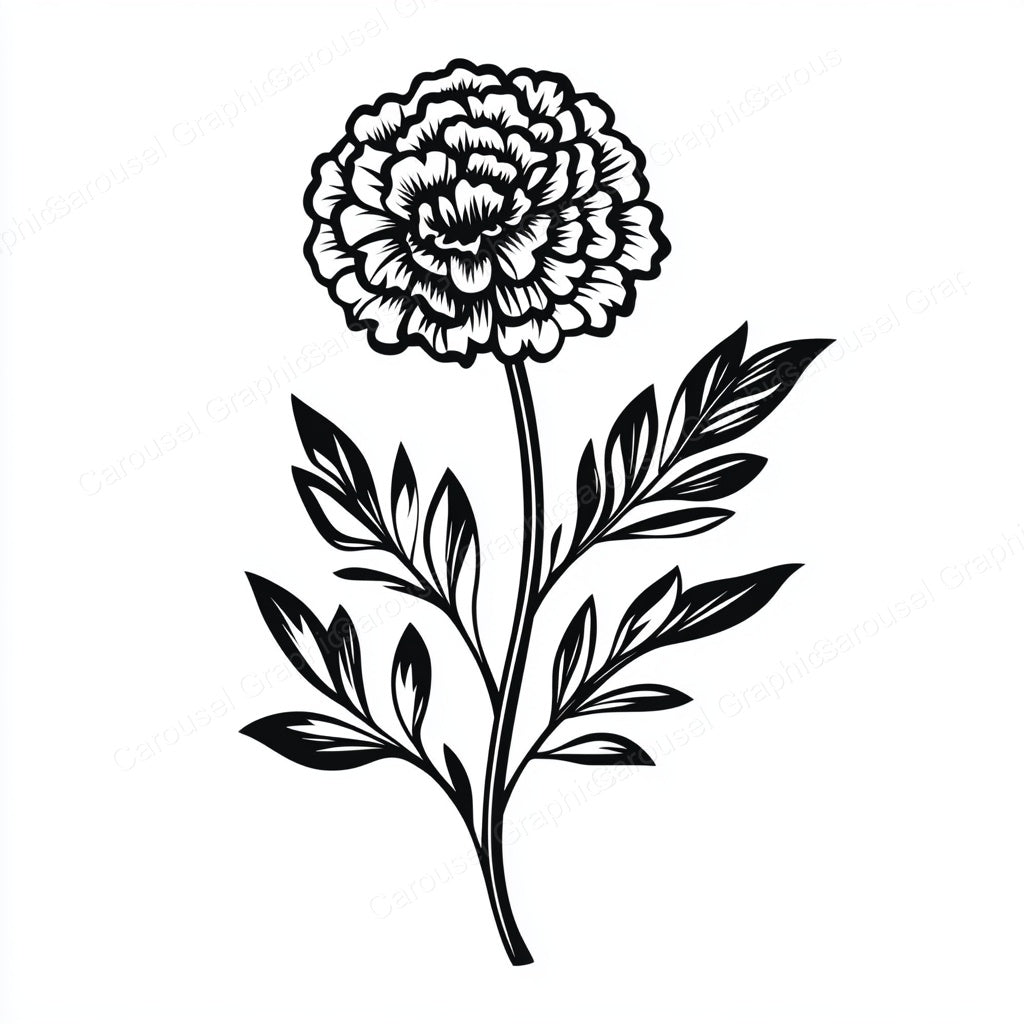 Marigold Vector Graphic preview