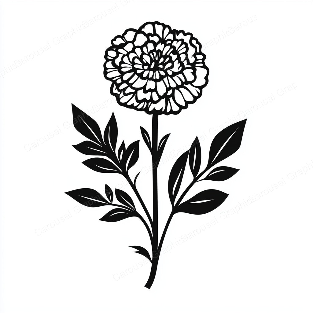 Marigold Vector Graphic preview