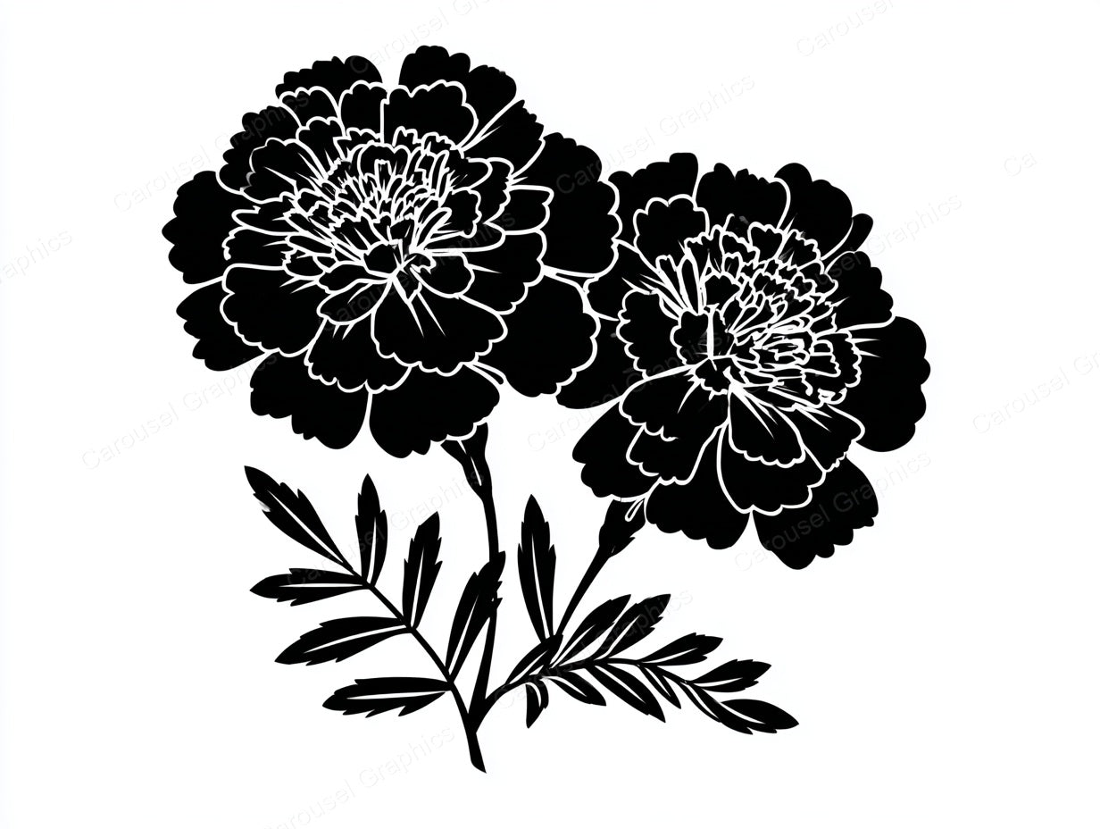 Marigold Vector Graphic preview