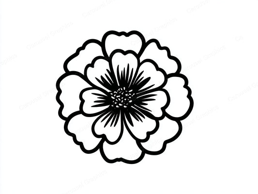 Marigold Vector Graphic preview