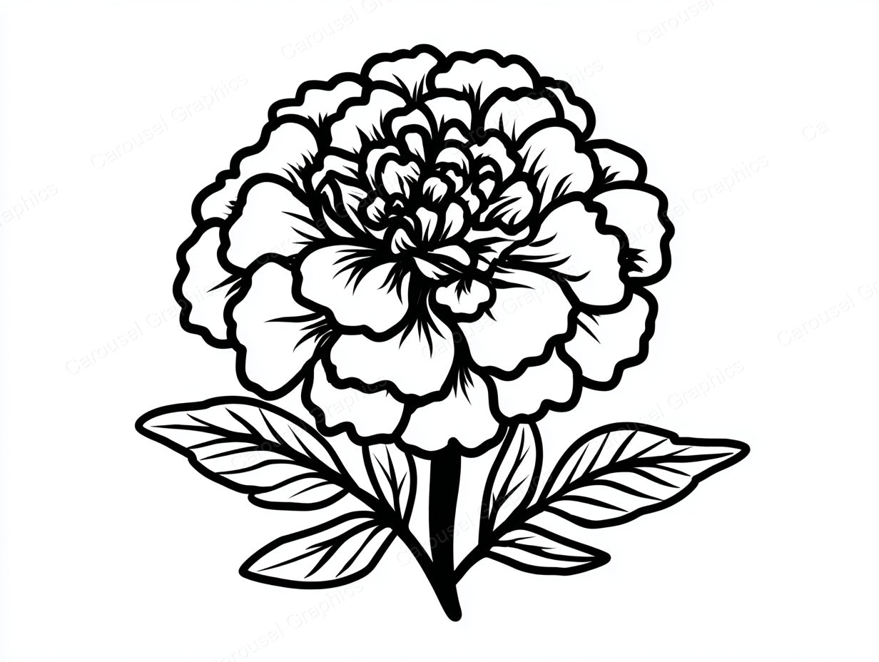 Marigold Vector Graphic preview