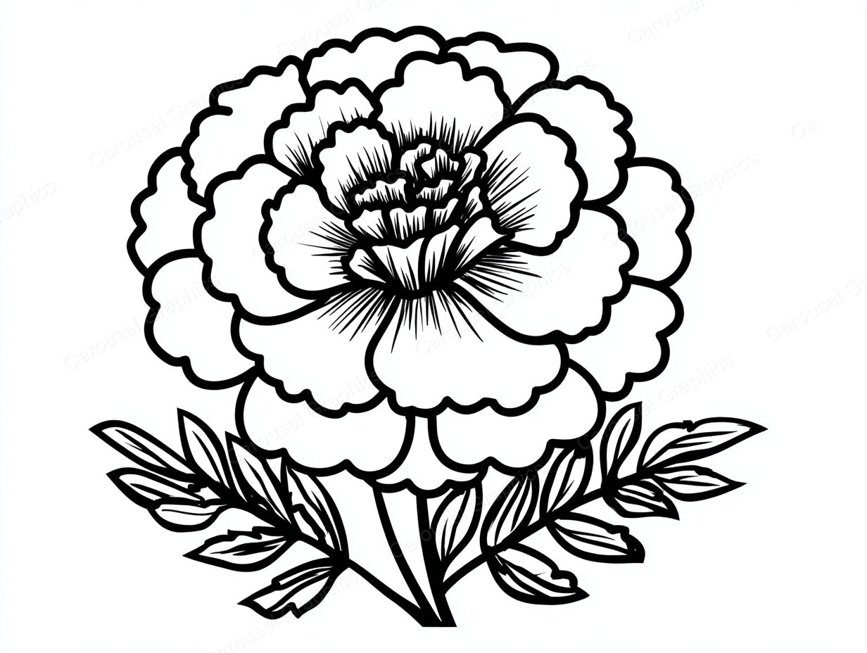 Marigold Vector Graphic preview
