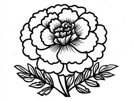 Marigold Vector Graphic preview