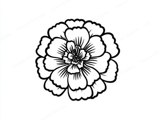 Marigold Vector Graphic preview