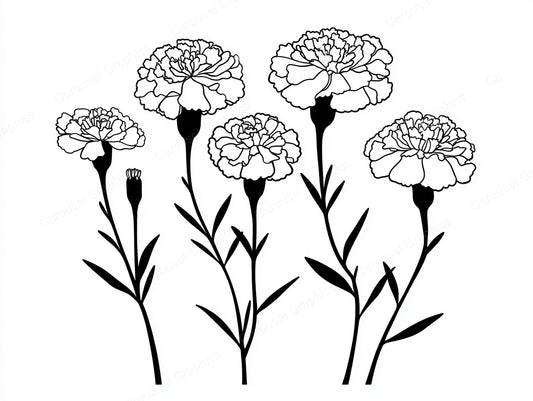 Marigold Vector Graphic preview