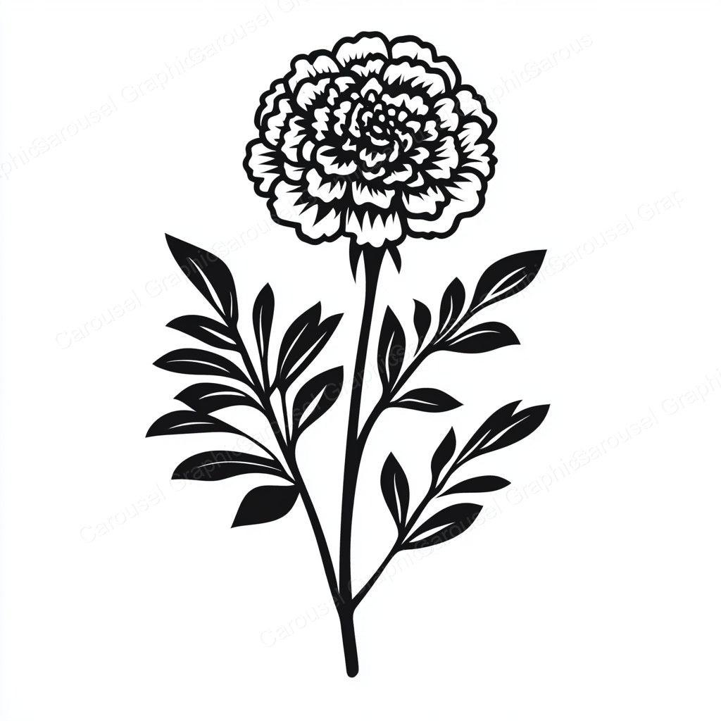 Marigold Vector Graphic preview