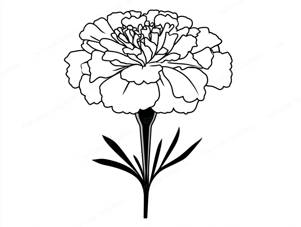 Marigold Vector Graphic preview
