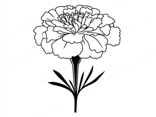 Marigold Vector Graphic preview