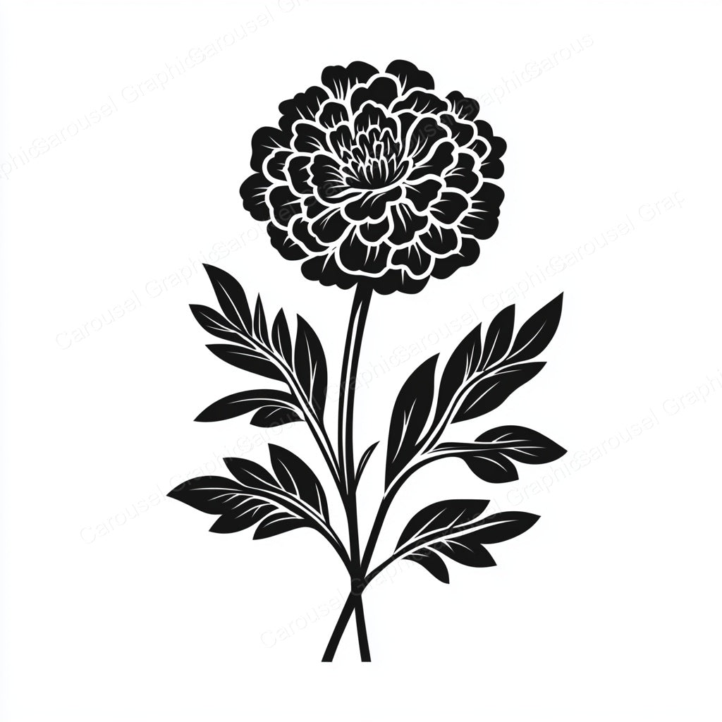 Marigold Vector Graphic preview