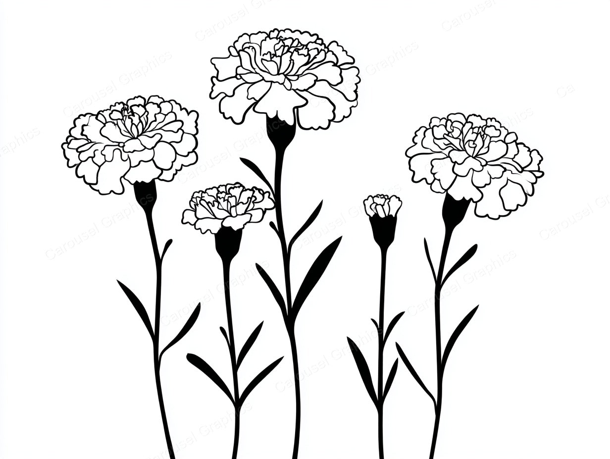 Marigold Vector Graphic preview