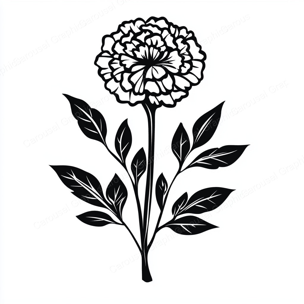 Marigold Vector Graphic preview