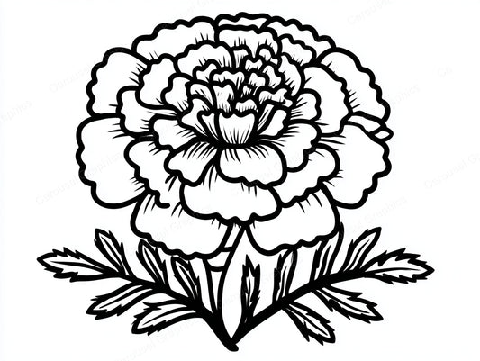 Marigold Vector Graphic preview