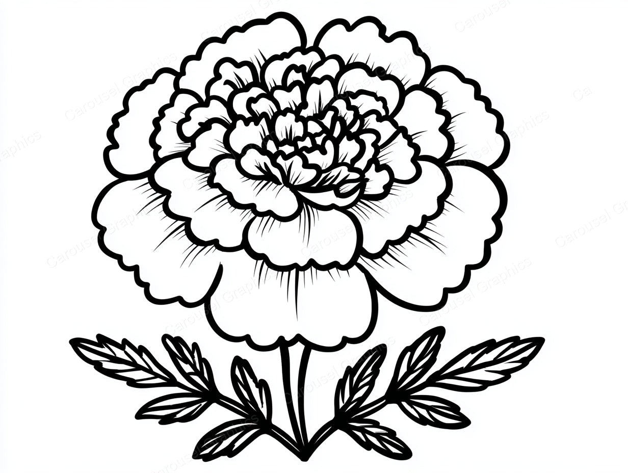 Marigold Vector Graphic preview