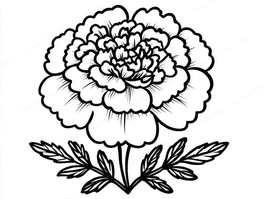 Marigold Vector Graphic preview