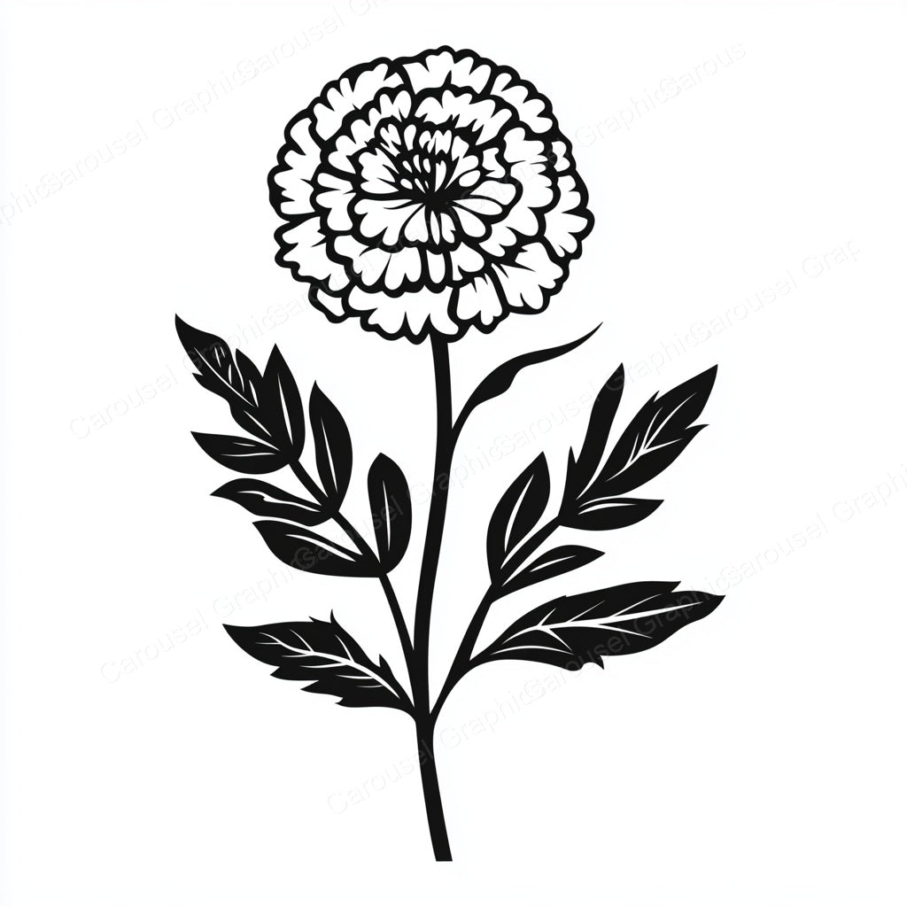 Marigold Vector Graphic preview