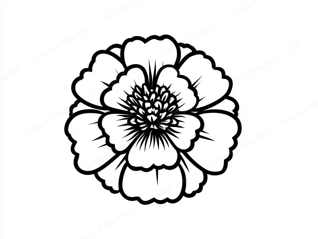 Marigold Vector Graphic preview