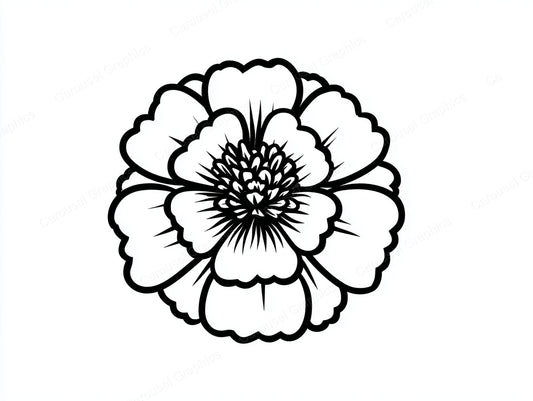 Marigold Vector Graphic preview