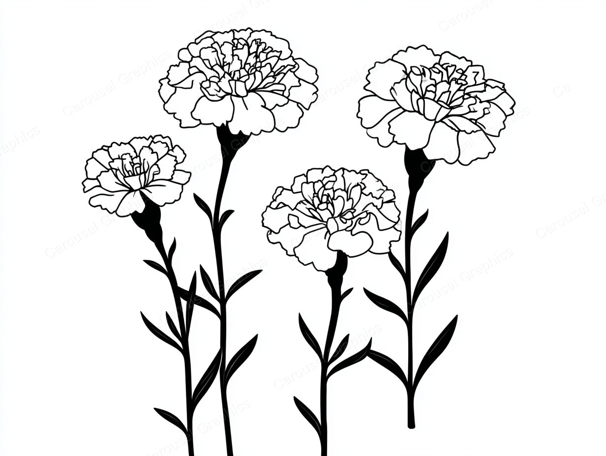 Marigold Vector Graphic preview