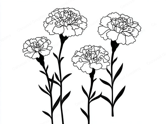 Marigold Vector Graphic preview