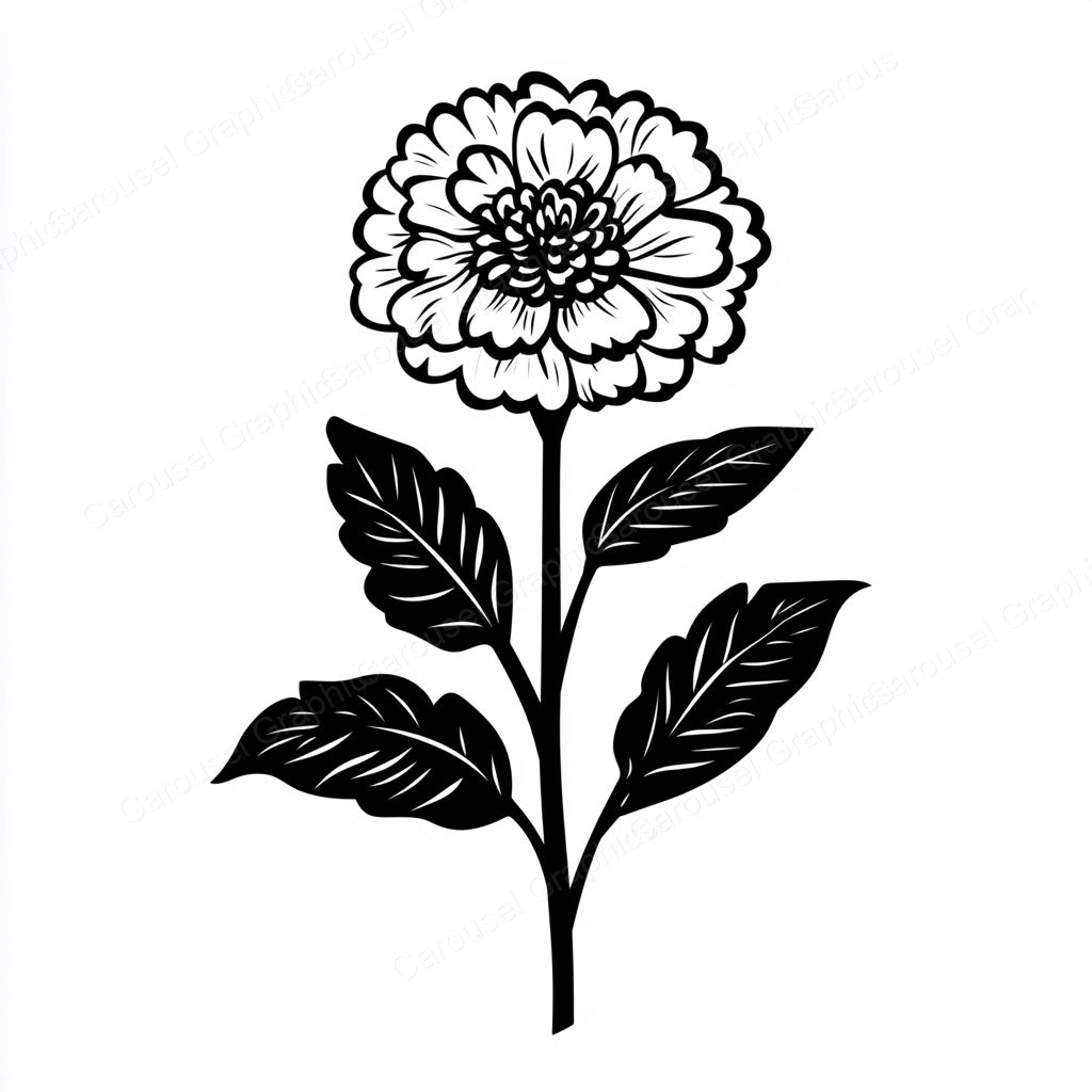 Marigold Vector Graphic preview