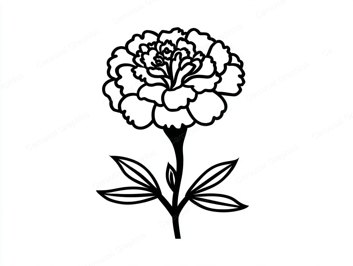Marigold Vector Graphic preview