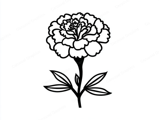 Marigold Vector Graphic preview